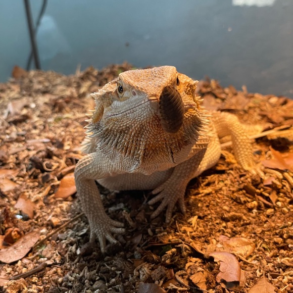 Meet your Posher, Alec - Picture 8 of 13